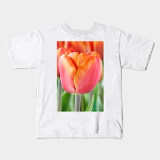 Tulipa  &#39;Brown Sugar&#39;   Triumph Group  Tulip Kids T-Shirt